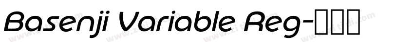 Basenji Variable Reg字体转换